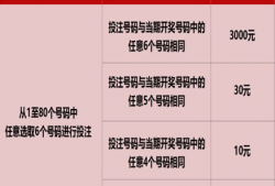 快乐8开奖结果,喜从天降，幸运瞬间揭晓