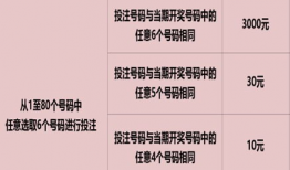 快乐8开奖结果,喜从天降，幸运瞬间揭晓