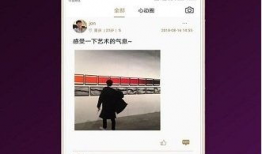 字母圈视频,探索神秘字母圈的奥秘与魅力