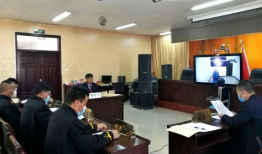 庭审视频,争议焦点与关键证据呈现