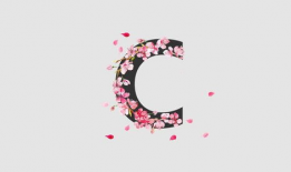 字母圈视频,探索神秘字母圈的奥秘与魅力