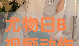 日本b视频,热门视频背后的文化魅力