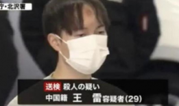 男人日女人免费视频,一场视觉盛宴背后的秘密