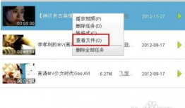 下载在线视频,轻松掌握在线视频获取技巧