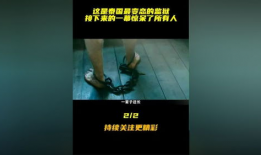最变态的视频,变态视频背后的黑暗真相