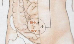 阴交视频