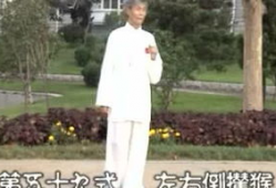 杨式太极拳85式视频,传承经典，动静相宜的养生之道