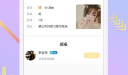 黄色视频下载软件,功能解析与风险警示