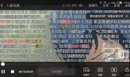 弹幕视频,捕捉时代脉搏，展现网络文化新风采