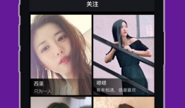 黄色视频下载软件,功能解析与风险警示