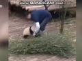 吃奶头视频,揭秘育儿过程中的温馨瞬间