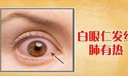 王鸿谟面诊视频全集,中医诊断智慧精粹解析