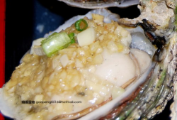 生蚝做法视频,跟随视频教程，轻松学会美味生蚝烹饪技巧